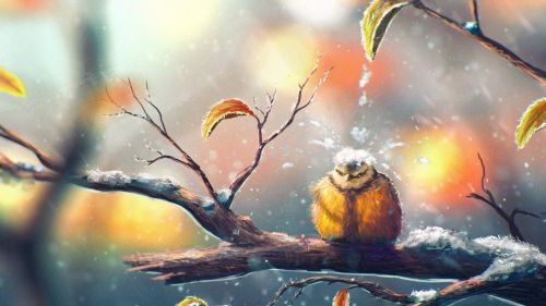 Bird during winter HD Wallpaper