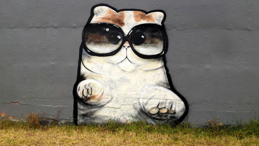 Cats Graffiti HD Wallpaper