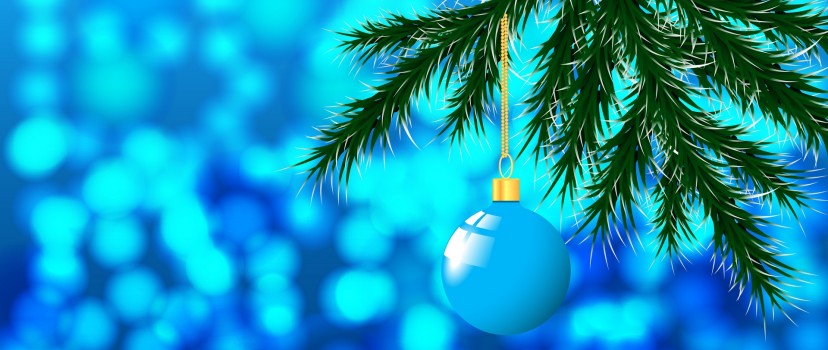 Christmas ball hanged on the tree HD Wallpaper