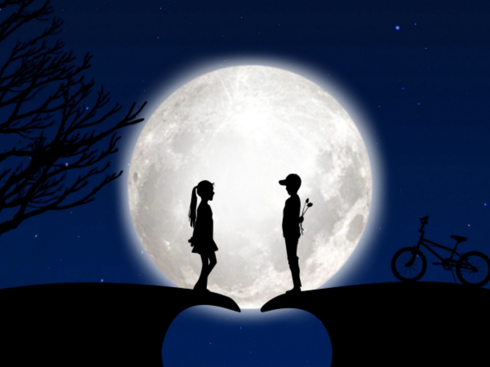 Couple in the light of the moon HD Wallpaper