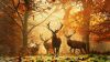 Deer hidden in trees HD Wallpaper