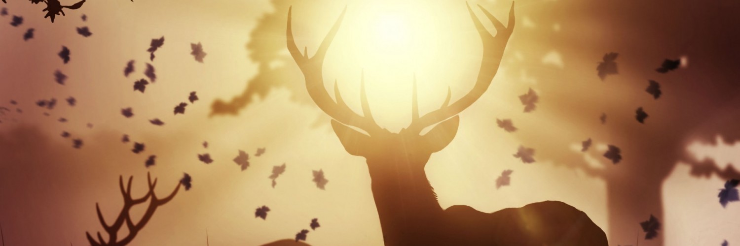 Deers at the sunlight HD Wallpaper