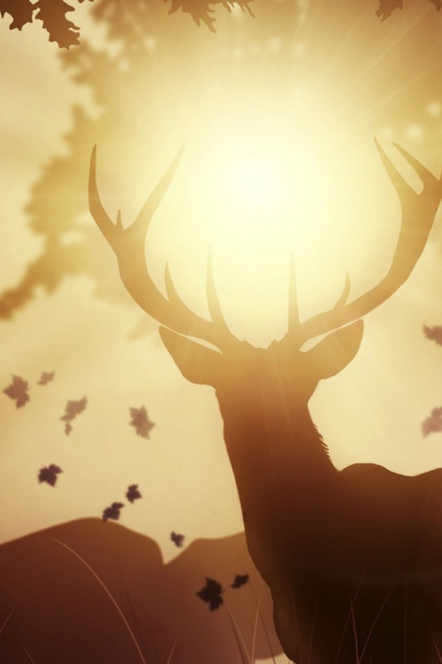 Deers at the sunlight HD Wallpaper