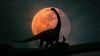 Dinosaur silhouettes HD Wallpaper