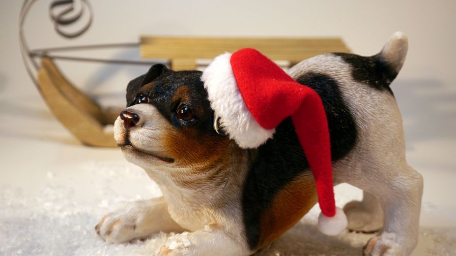 Dog Wearing Santa Hat Figurine HD Wallpaper