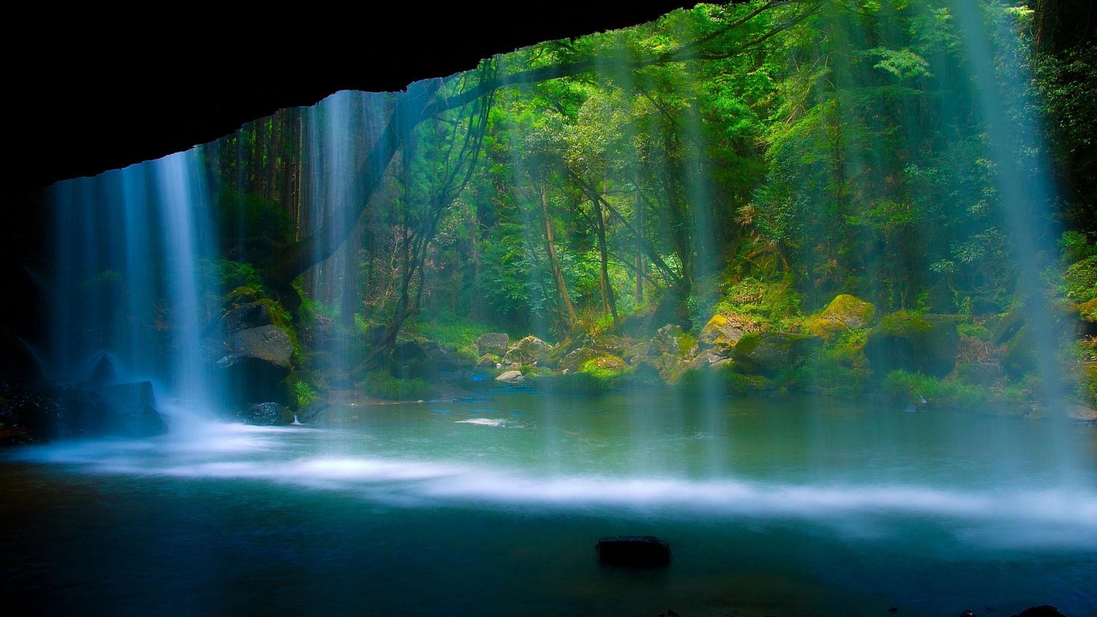 Download Free Rainforest Waterfall Full HD Wallpaper