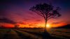 Download Free Sunset Scenery Full HD Wallpaper