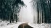 Driving in heavy winter HD Wallpaper