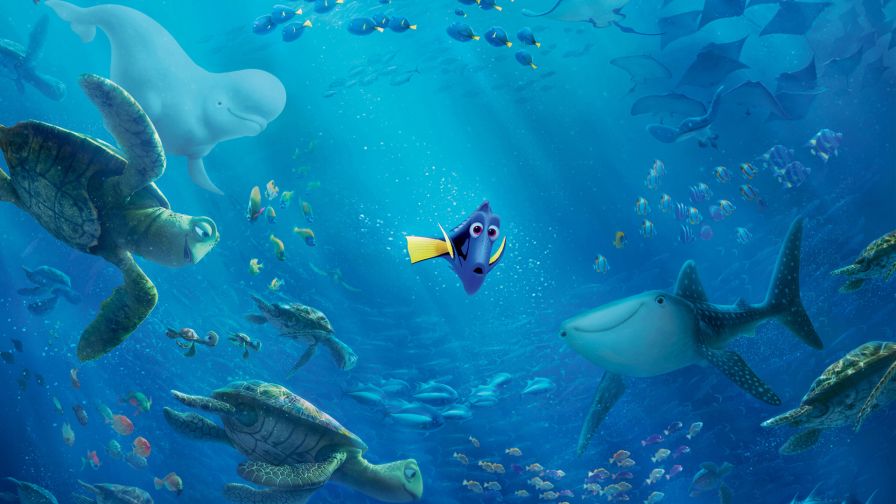 Finding Dory Hd Wallpaper for Desktop and Mobiles - Wallpapers.net