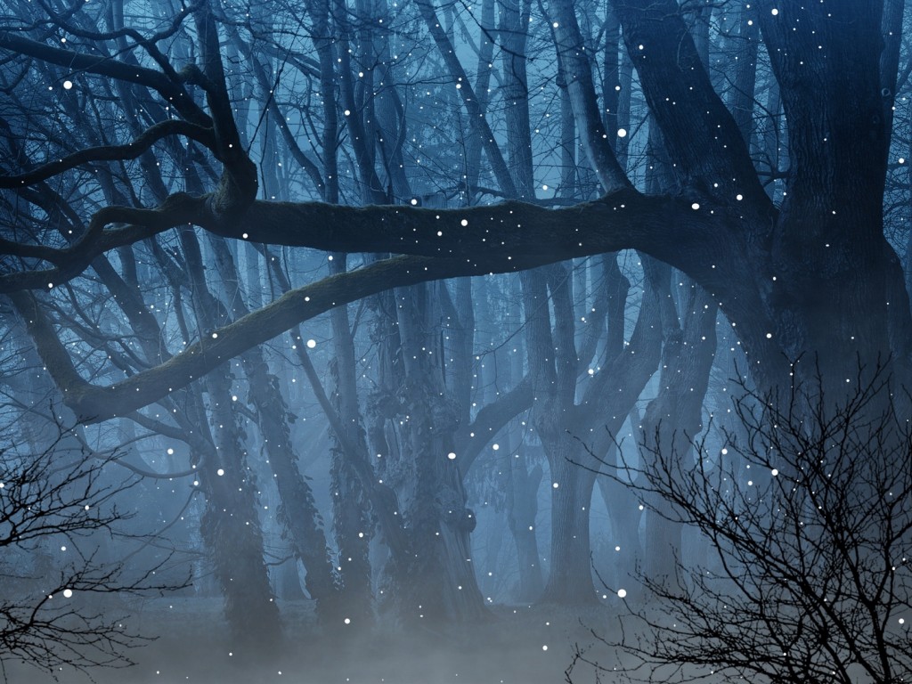 Fireflies over a tree HD Wallpaper