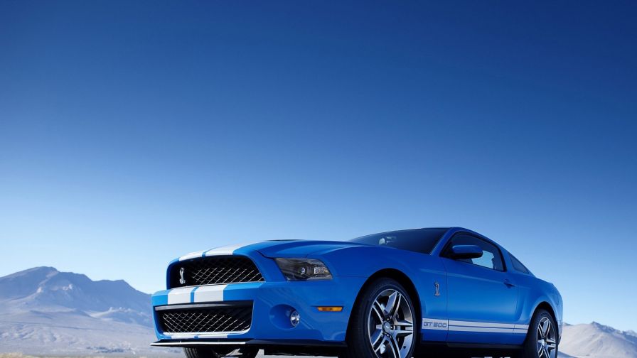 Hd Wallpaper Ford Mustang Shelby