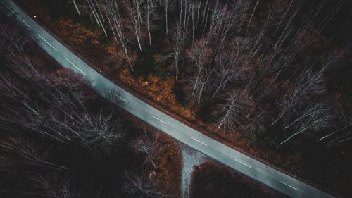 Forest road aerial view HD Wallpaper