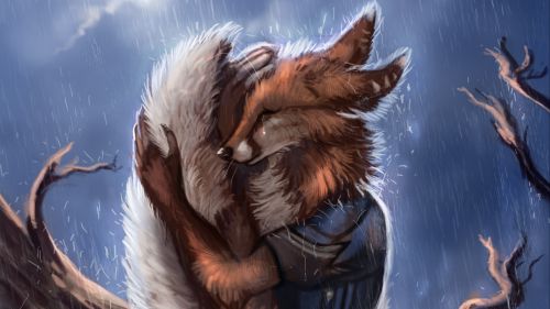 Fox at the rain HD Wallpaper