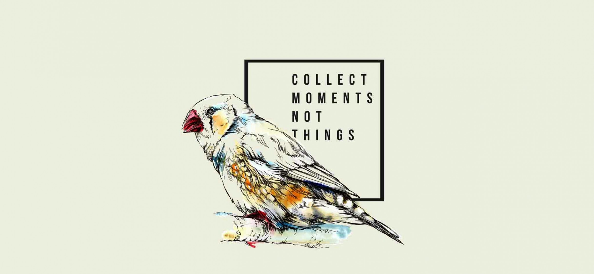 Free Collect Moments Not Things Full Hd Wallpaper for Desktop and Mobiles