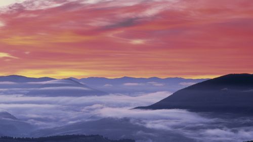 Fresh Donner Lake Coverd Morning Fog  HD Wallpaper