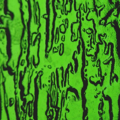 Green embosed surface HD Wallpaper