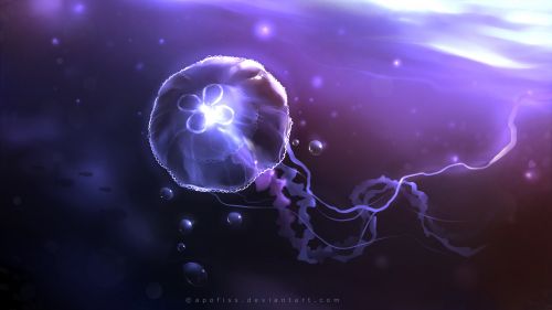 HD cartoon & Abstract Jellyfish Wallpaper