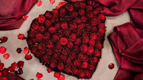 Heart made of red roses HD Wallpaper