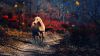 High resolution Free Running Horse Wallpaper in HD