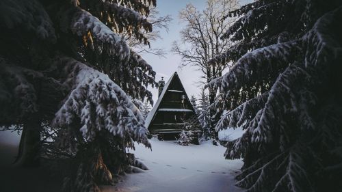 House in the middle of a snowy forest HD Wallpaper