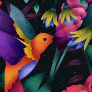 Hummingbird over flowers HD Wallpaper