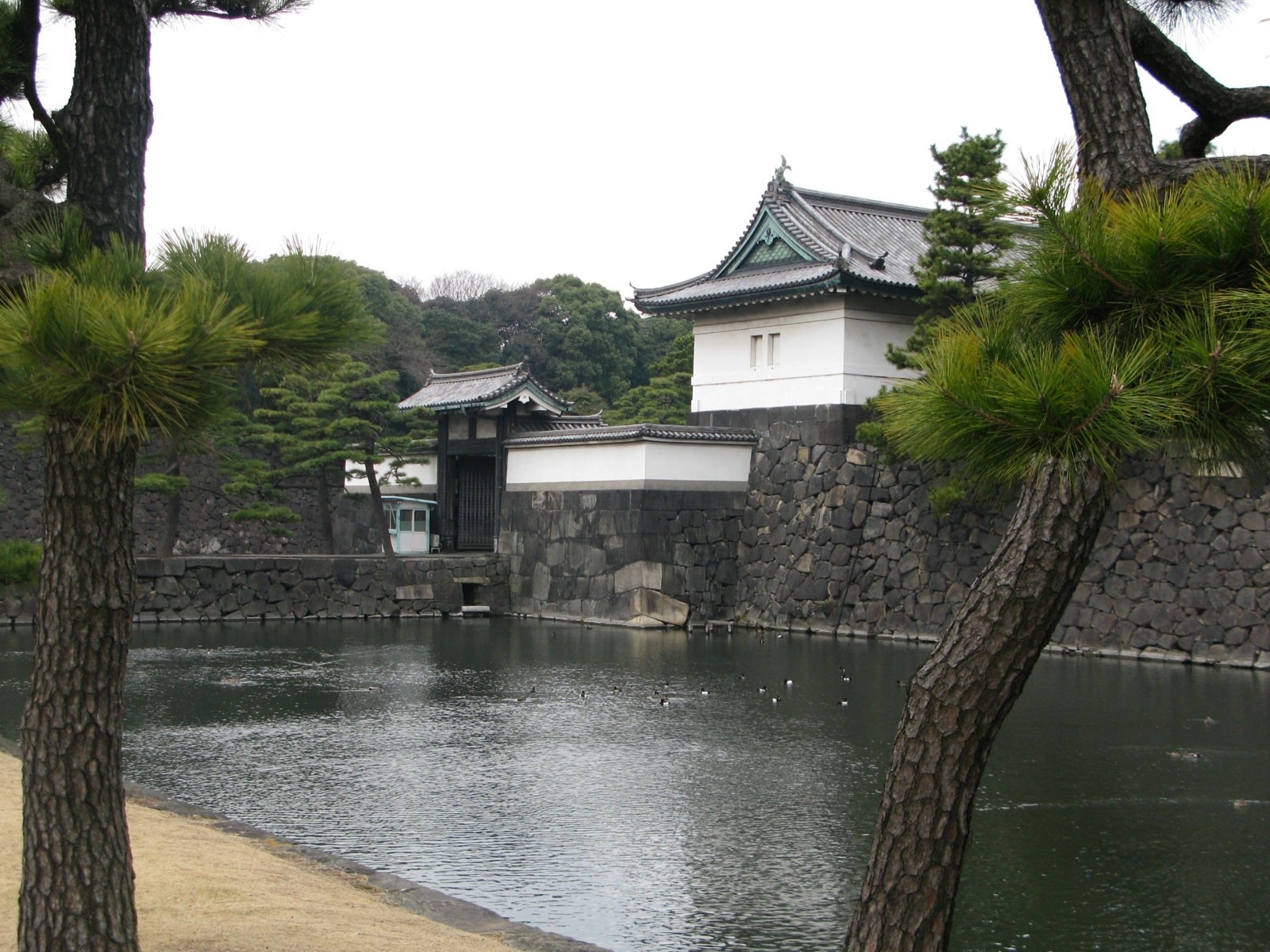 Imperial Palace  HD Wallpaper