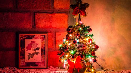 Lighted Christmas Tree HD Wallpaper