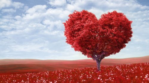 Love Heart Tree Wallpaper for Desktop and Mobiles