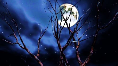Lunar midnight HD Wallpaper