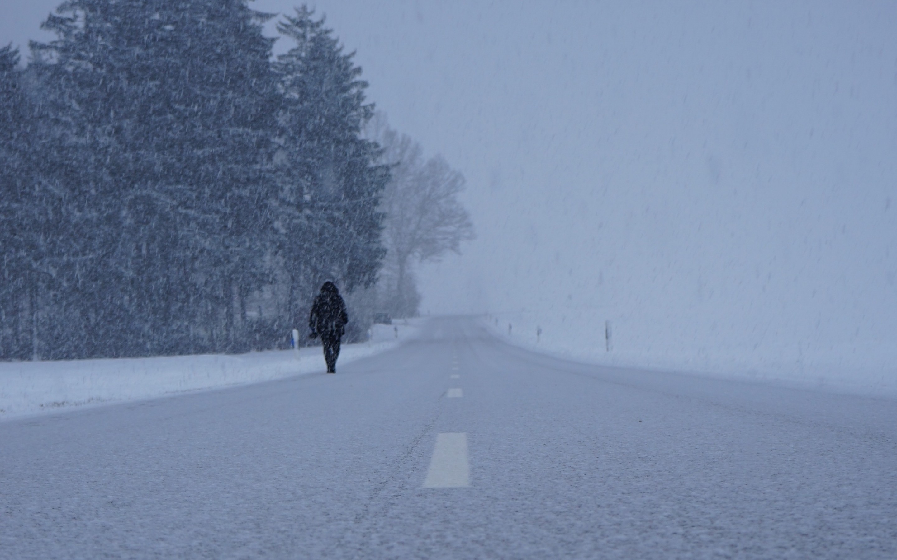 Man walking through snowstorm HD Wallpaper