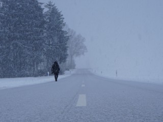 Man walking through snowstorm HD Wallpaper