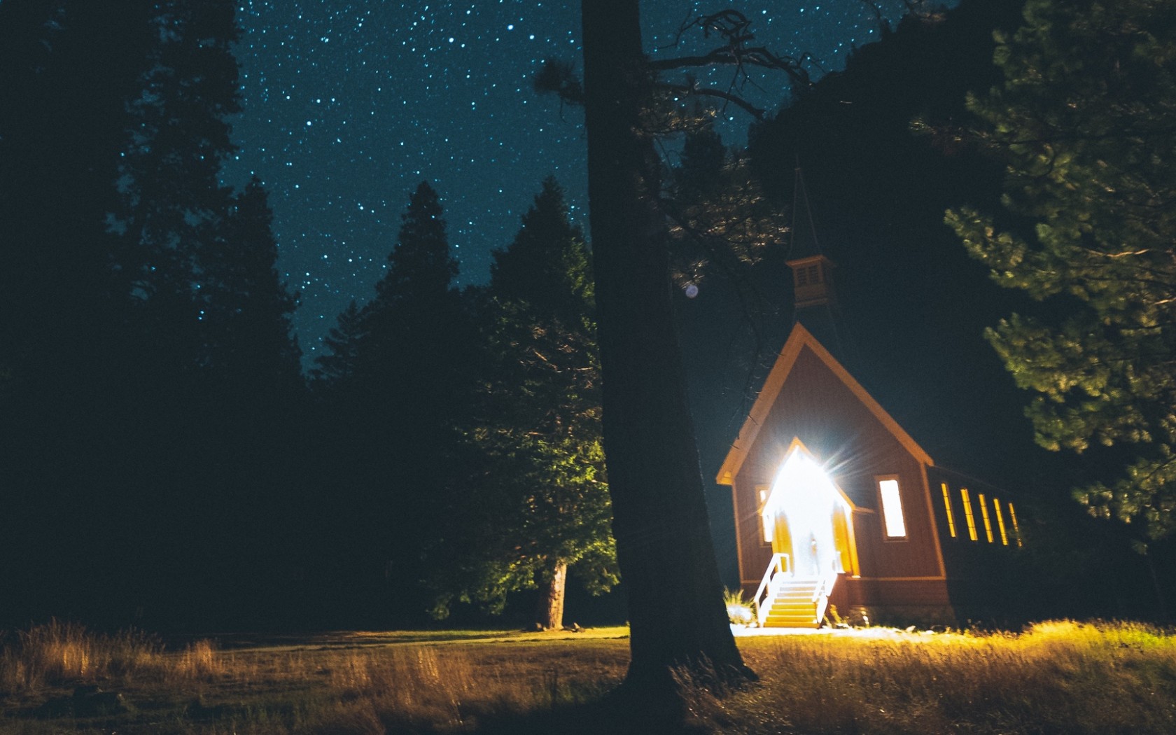 Night at a forest house HD Wallpaper
