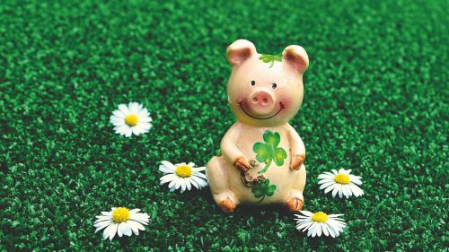 Pig doll sitting at the grass HD Wallpaper
