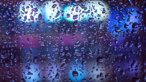 Rain drops macro image HD Wallpaper