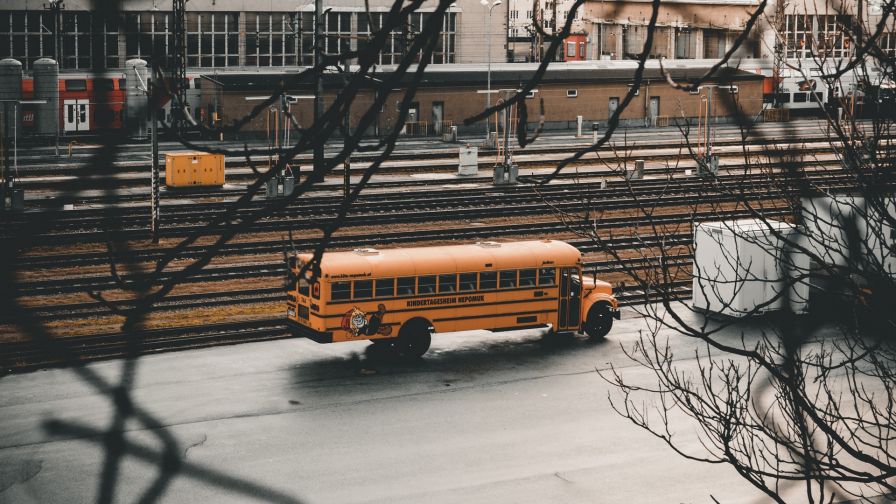 School bus HD Wallpaper