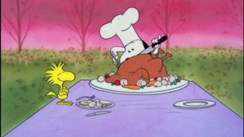 Snoopy and WoodStock's Thanksgiving HD Wallpaper