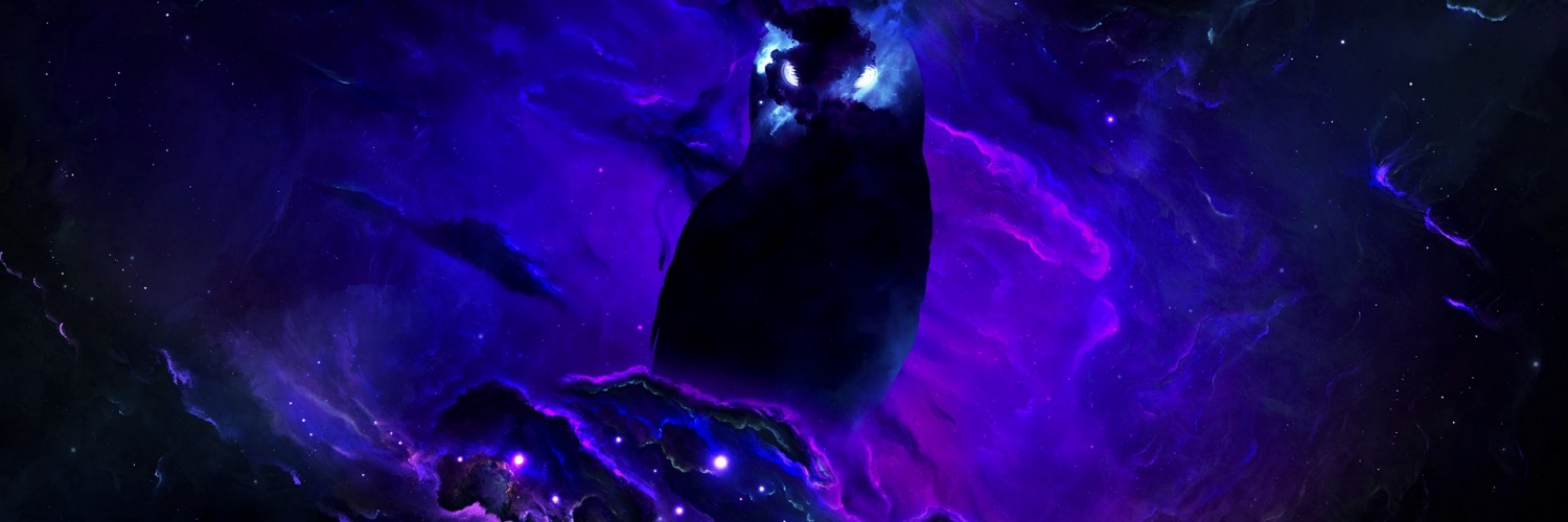 Space owl HD Wallpaper