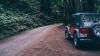 SUV parked at the forest HD Wallpaper