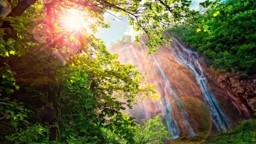 The Forest Waterfall HD Wallpaper