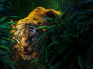 The Jungle book HD Wallpaper
