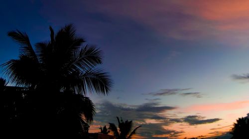 Tropical sunset HD Wallpaper