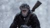 War for the Planet of the Apes Wallpaper for Desktop and Mobiles