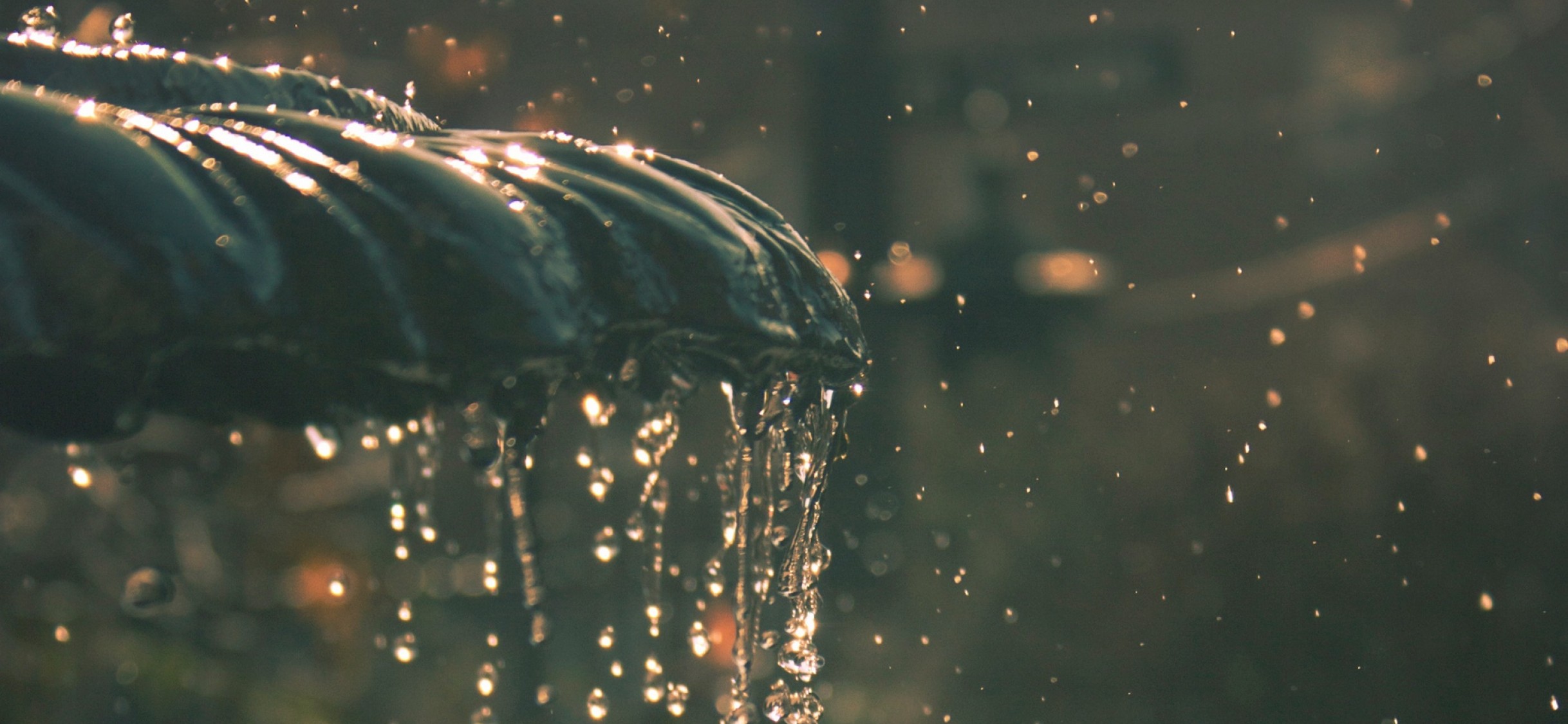 Water fountain drops  HD Wallpaper