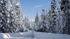 Winter Road in Oregon HD Wallpaper