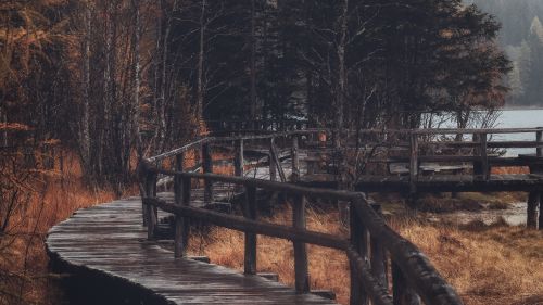 Wooden bridge at the forest HD Wallpaper