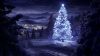 Xmas tree covered in snow HD Wallpaper